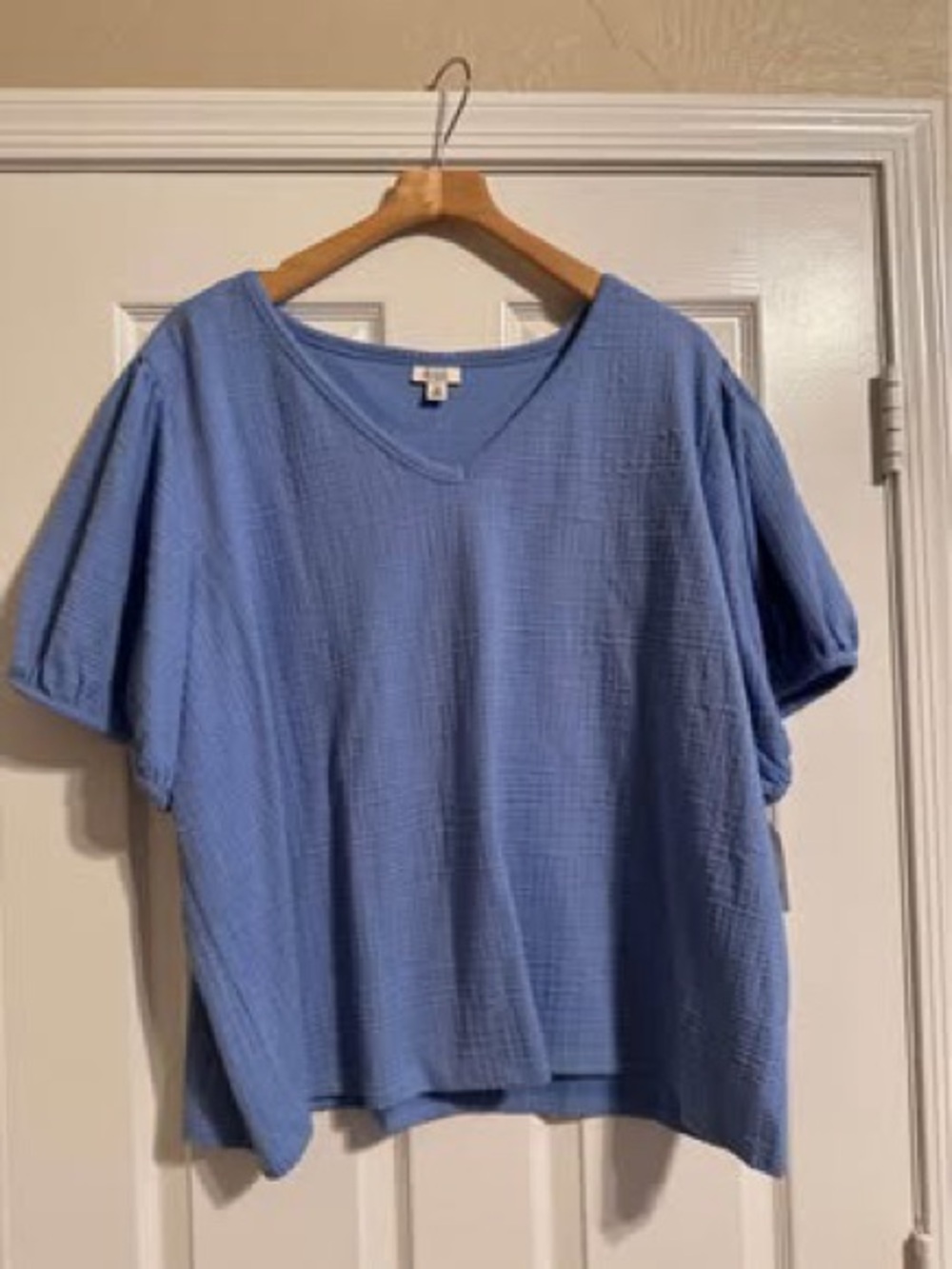 Ana Light Blue Blouse Size 3X